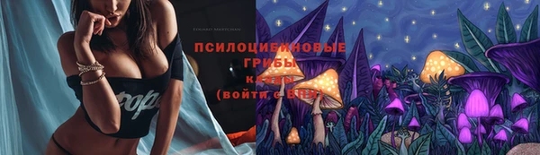 гидра Россошь