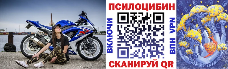 Псилоцибиновые грибы Magic Shrooms  закладка  hydra tor  Калининск 